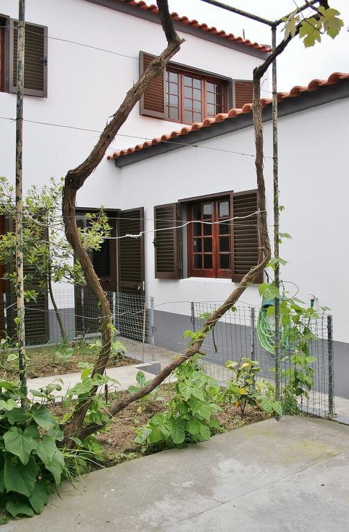 Casa Azul Natura Ponta Delgada المظهر الخارجي الصورة